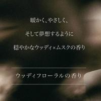 ARTIS di Voce HRハンドクリーム 40g 3304