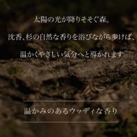 ARTIS di Voce ネイルセラム 10ml 3305