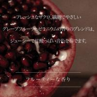 ARTIS di Voce ネイルセラム 10ml 3306