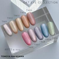 ARTIS di Voce ブラッシュオン カラージェル TN10