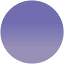 ARTIS di Voce ブラッシュオン カラージェル TN18