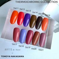 ARTIS di Voce ブラッシュオン カラージェル TN21