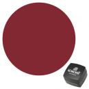 KOKOIST カラージェル 2.5g E-111