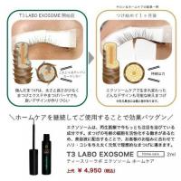 ティースリーラボ エクソソーム(業務用) 5ml T3005