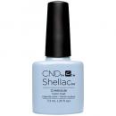 シェラック カラーコート 7.3ml 780