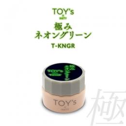 TOYsXINITY 極みネオングリーン 5g