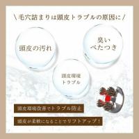 カラーズB クルールラボ ゾーガンキンスカルプ