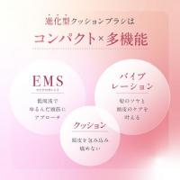 WAVEWAVE EMS Brush Air mini ゴールド