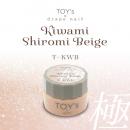 TOYsXINITY 極み白みベージュ 5g