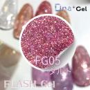 Dna Gel フラッシュジェル 8g FG05 タルト