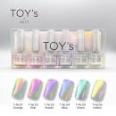 TOYsXINITY ニューオーロラリキッド 6色セット