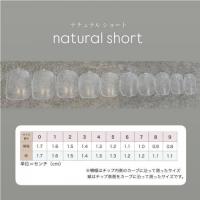 NAIL TIP LABO Natural Short #00