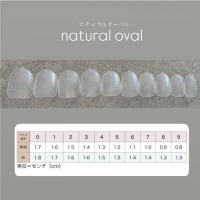 NAIL TIP LABO Natural Oval set