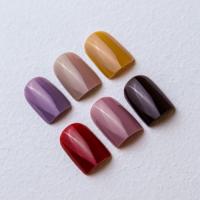 PRESTO アンリミテッドカラー 2.7g BT019
