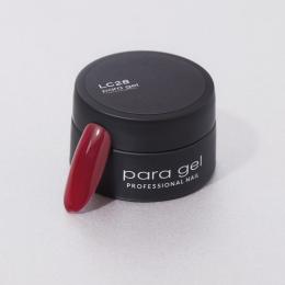 PALC28M パラジェル カラージェル3g ココティント