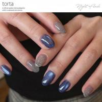 WSPT torta Night Flash P003
