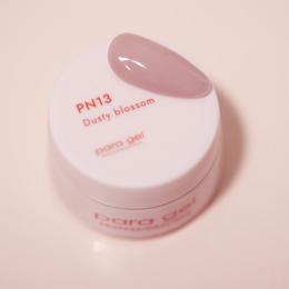パラジェル ピンクライン 3g ダスティブロッサム PN13