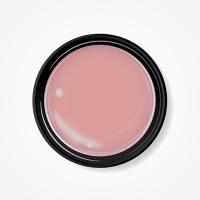 パラジェル ピンクライン 3g メモワールピンク PN15