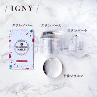 IGNY 2way スタンパー(スクレイパー付き)