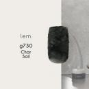 lem. カラージェル 3g g730 チェー・ソイル