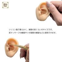 KiraEar シリコン製両耳模型