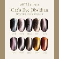 ARTiS di Voce ブラッシュオンカラージェル8g CE46