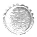 △オリジナル ストーン台皿 3mm シルバー 10P