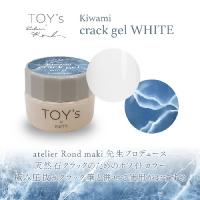 TOYsXINITY 極みクラックジェルホワイト 5g