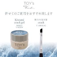 TOYsXINITY 極みクラックジェルホワイト 5g