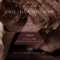 ARTiS di Voce ハンドウォッシュ 220ml 3303新