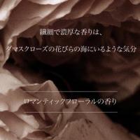 ARTiS di Voce ハンドウォッシュ 220ml 3303新