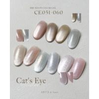 ARTiS di Voce ブラッシュオンカラー 8g CE054
