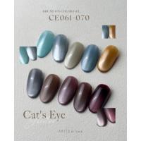ARTiS di Voce ブラッシュオンカラー 8g CE064