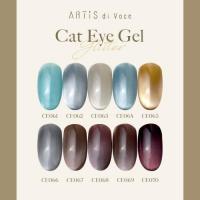 ARTiS di Voce ブラッシュオンカラー 8g CE066
