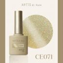ARTiS di Voce ブラッシュオンカラー 8g CE071