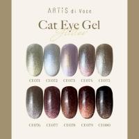 ARTiS di Voce ブラッシュオンカラー 8g CE076