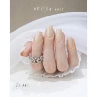 ARTiS di Voce ブラッシュオンカラー 8g CT047