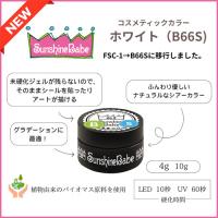 サンシャインベビー コスメティックカラー B66S 4g