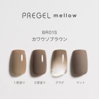 PG-MEBR01S プリジェル メロウ カワウソブラウン