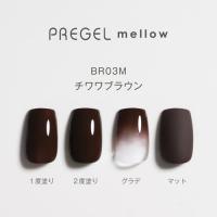PG-MEBR03M プリジェル メロウ チワワブラウン
