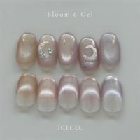 アイスジェル スターギャラクシー ブルームシックス 3g 1863