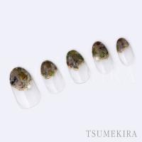 ツメキラ bear fruits NN-DAI-029