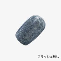 ANCLEF スパークルフラッシュ 8g 001SF