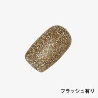 ANCLEF スパークルフラッシュ 8g 005SF