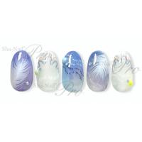 写ネイル CLOSE-UP FEATHER CLH-001