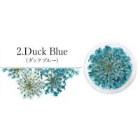 SMint レースフラワー 2.Duck Blue