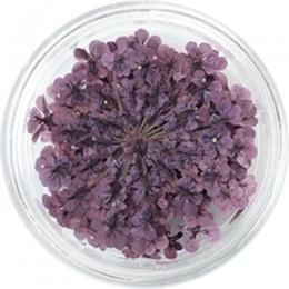SMint レースフラワー 4.Mauve