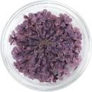 SMint レースフラワー 4.Mauve