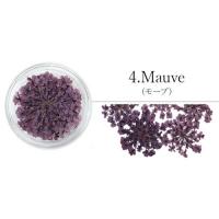 SMint レースフラワー 4.Mauve