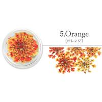 SMint レースフラワー 5.Orange